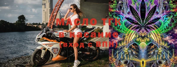 индика Новодвинск
