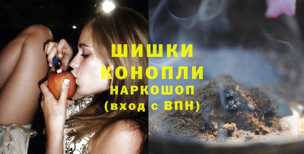 индика Новодвинск