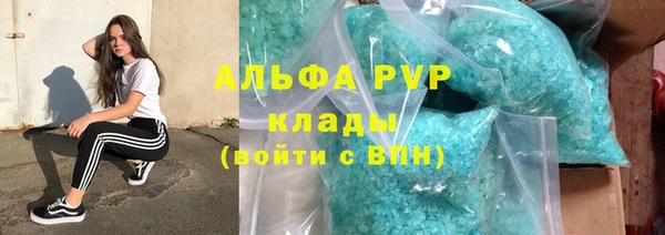 СК Болхов