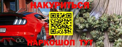 прущие крисы Аргун
