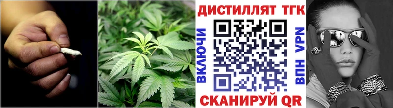 Дистиллят ТГК Wax  Белгород 