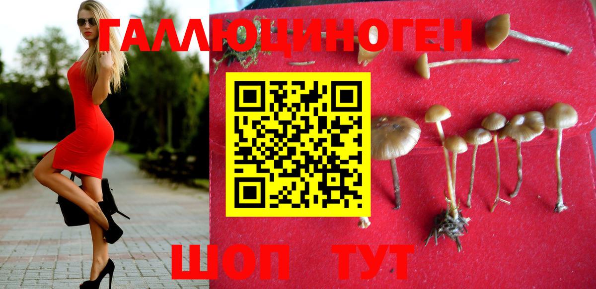 Галлюциногенные грибы MAGIC MUSHROOMS Белгород