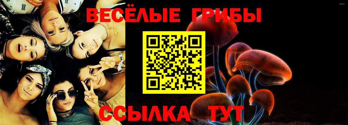 Галлюциногенные грибы GOLDEN TEACHER  Вход с VPN  Белгород 